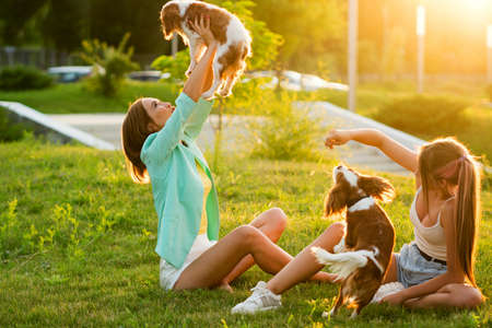 Affectionate Breeders Mother and Daughter Having Fun Together at Sunset Summer Day with Pets. Puppies Cavalier King Charles Spaniel with Owners Outdoors. Real Family Lifeの写真素材