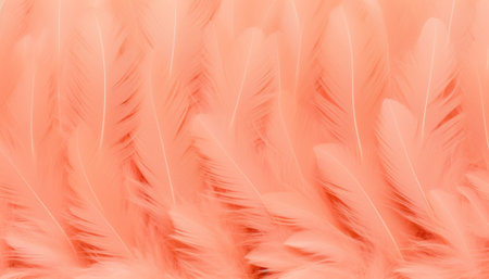 Soft peach fuzze colored feathers fill the frame with a delicate textureの素材