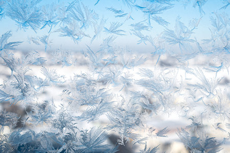 Close-up view of intricate frost crystal formations on a glass surface, resembling feathersの写真素材