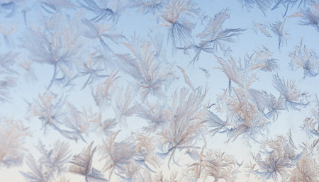 Soft morning light reveals a flurry of frost crystals, each unique, creating a serene, winter...