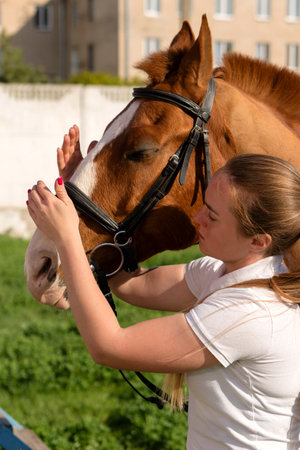 Final adjustments to horse's bridle. Equine tack and horse preparation processes.