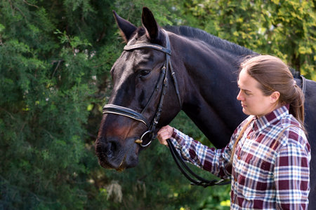 Woman holding a bridal horse outdoors. Portrait of a rider and a horse