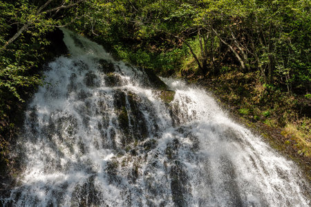 The top of a waterfall crashes over rocks with white foamy water surrounded by green forest.