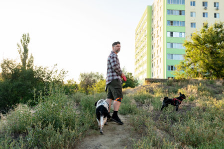 Man leads two leashed dogs along a grassy slope beside a tall residential building, under the warm...