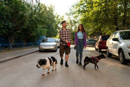 A man and his daughter walk side by side with their two dogs on leashes, one black and white, one in a red harness, along a residential street lined with parked cars and summer greenery.の写真素材
