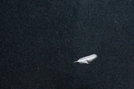 A delicate white feather lies alone on dark sand, creating a minimalist composition and emphasizing contrast and simplicity.の写真素材