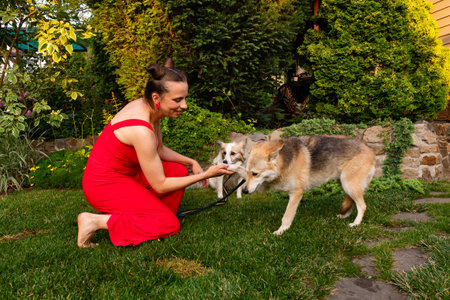 Woman kneels on grass while feeding two attentive dogs in a vibrant garden, surrounded by green...