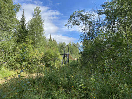 Bridge over the Big Tesma River (Taganay national Park. Zlatoust city. Chelyabinsk region. South Ural. Russia)の写真素材