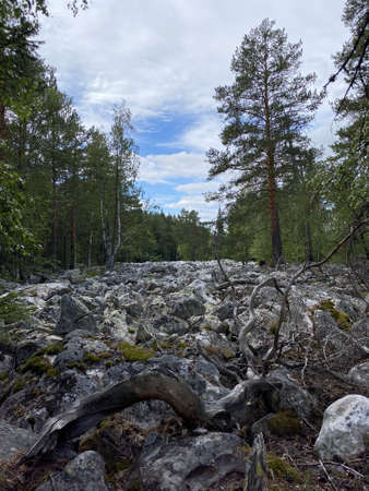 Stone river (Taganay national Park. Zlatoust city. Chelyabinsk region. South Ural. Russia).の写真素材