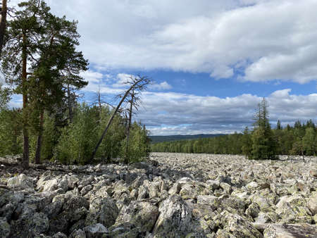 Stone river (Taganay national Park. Zlatoust city. Chelyabinsk region. South Ural. Russia).の写真素材