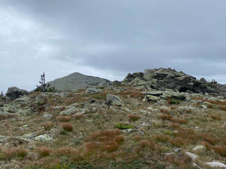 Autograph plateau. View of the Kruglitsa mountain from the northern side of the slope. Taganay national Park. Zlatoust city. Chelyabinsk region. South Ural. Russiaの写真素材