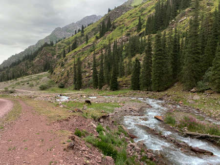 Descent from the Kegety Pass on the northern side of the slope. Kegety River valley. Tien Shan Mountains. Chui region. Kyrgyzstan.の写真素材