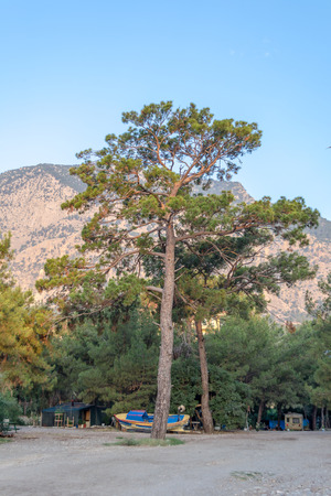 Fishing boat under repair under the tree on the background of mountains and skyの写真素材