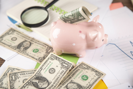 money with piggy bank on the documentの写真素材