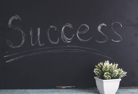 success on chalkboard with plant on tableの写真素材