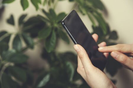 young business  woman hand holding smart phoneの写真素材