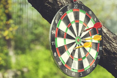 target on tree with green grass background