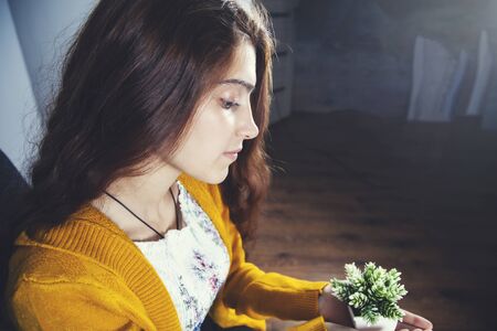 woman hand artificial plant on the dark backgroundの写真素材