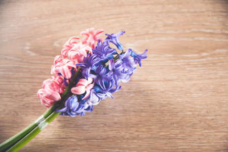 pink and purple spring flower on tableの写真素材