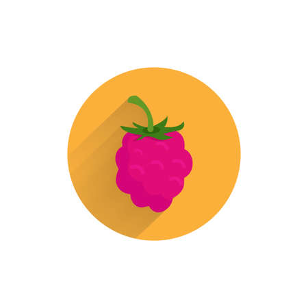 Red raspberries colorful flat icon with long shadow. raspberries fruit flat iconのイラスト素材