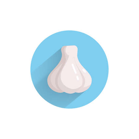 Garlic colorful flat icon with long shadow. Garlic flat iconのイラスト素材