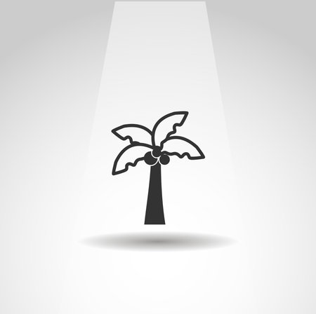 palm tree with coconuts icon, palm simple plant iconのイラスト素材