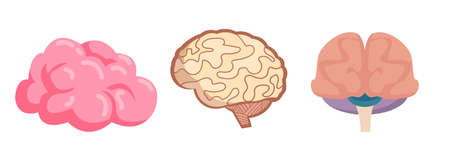 brain vector clip art set. brain vector clip art set. brain vector clip art set.