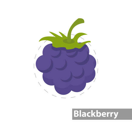 blackberry clipart. blackberry isolated simple vector clipartのイラスト素材