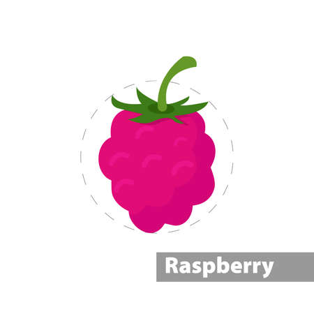 Red raspberries clipart. raspberries simple vector clipart. raspberries isolated clipart.のイラスト素材