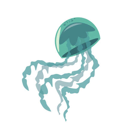 Jellyfish vector clipart. Jellyfish flat illustrationのイラスト素材