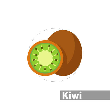 Kiwi fruit slice vector clipart. Kiwi isolated flat icon.のイラスト素材