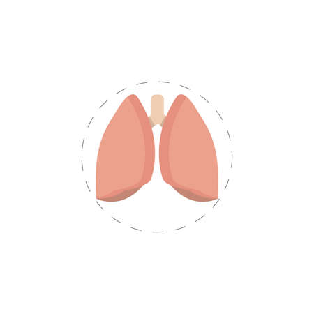 lungs vector clipart. lungs isolated flat icon.のイラスト素材