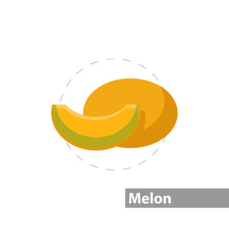 Melon vector clipart. Melon isolated flat icon.のイラスト素材