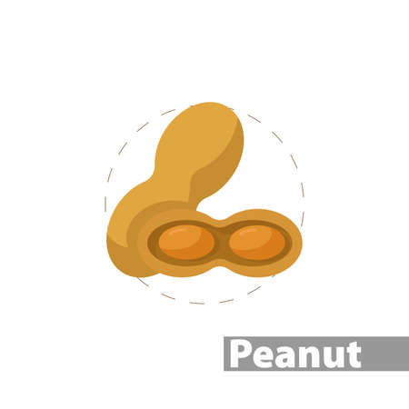 Peanuts clipart. Peanuts colorful flat vector icon.のイラスト素材