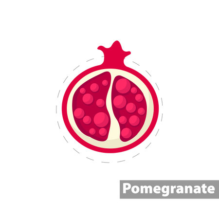 Pomegranate clipart. Pomegranate colorful flat vector icon.のイラスト素材