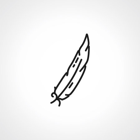 Feather line icon. Feather linear icon.のイラスト素材