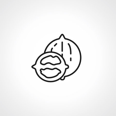 Walnut line icon. Walnut web linear icon.のイラスト素材