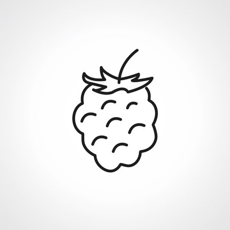 Raspberry line icon. Raspberry web linear icon.のイラスト素材