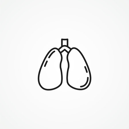 lungs icon, breath linear sign. lungs outline iconのイラスト素材