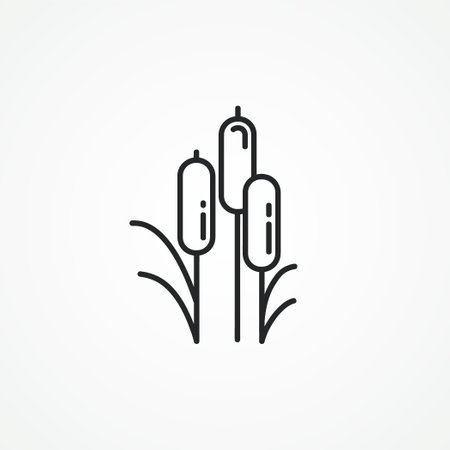 Reed plant line icon. line icon.のイラスト素材