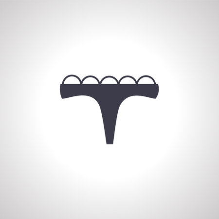Thong Panties isolated icon. panties iconの写真素材