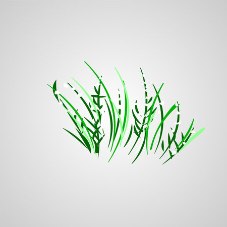 grass isolated vector illustration on white backgroundのイラスト素材
