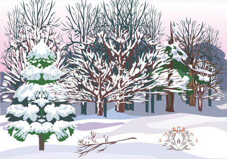 Winter landscape with snow-covered trees and bushes. Vector illustration.のイラスト素材