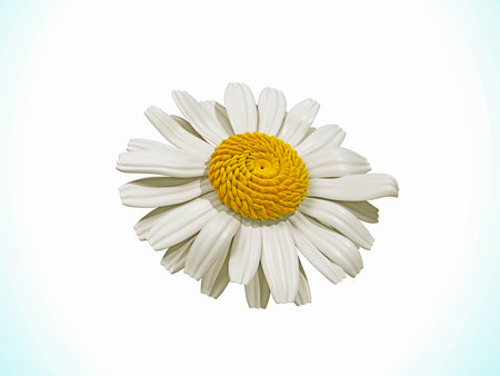 Chamomile 3d illustration on white background. Chamomile 3d iconの写真素材