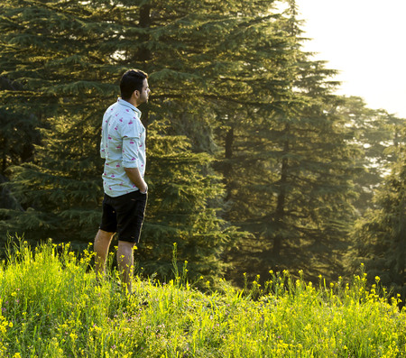 A beautiful day in the mountains, Dalhousieの写真素材