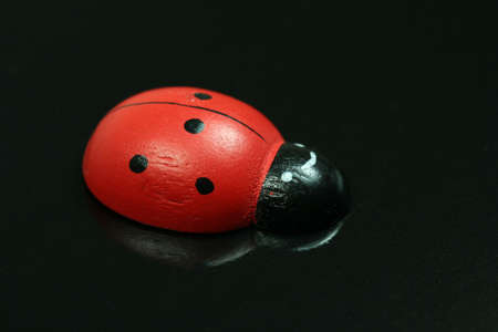 An artificial ladybird on a black backgroundの写真素材