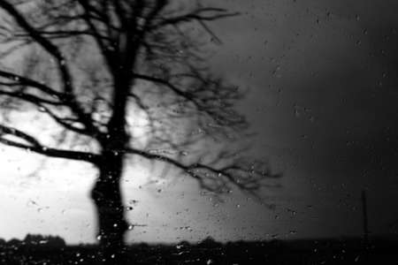 Night Imageの写真素材