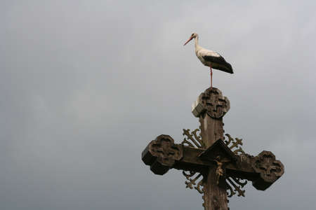 A stork on a cross in autumnの写真素材