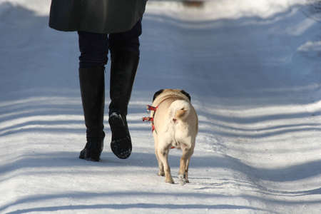 Walking- two friendsの写真素材