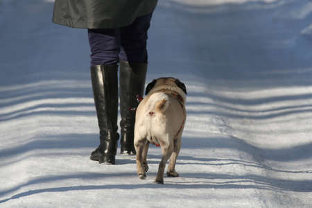 Walking - two friendsの写真素材